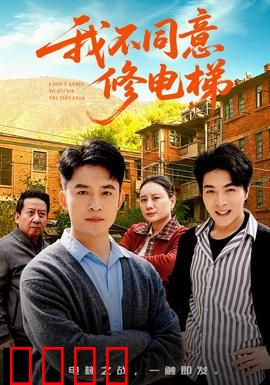 我不同意修电梯：邻里暗战